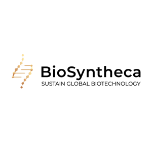 logo_group11